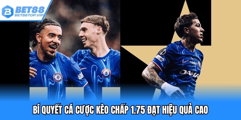 Bí quyết cá cược kèo chấp 1.75 đạt hiệu quả cao