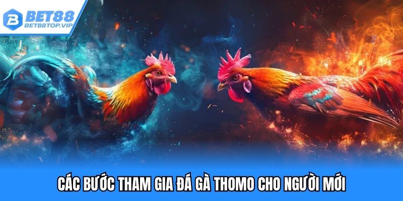 Các bước tham gia đá gà Thomo cho người mới