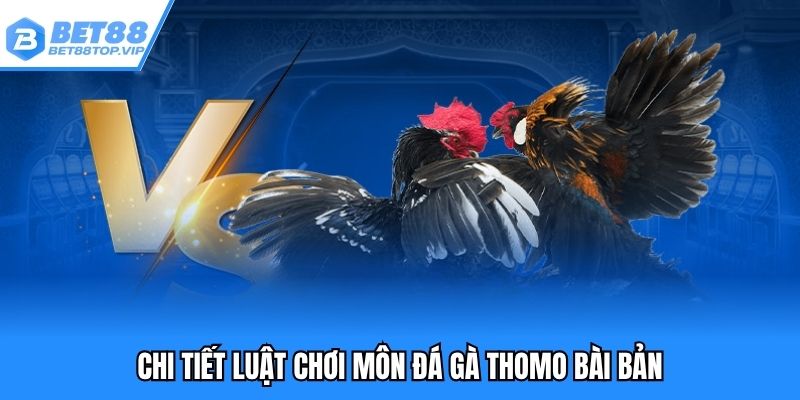 Chi tiết luật chơi môn đá gà Thomo bài bản