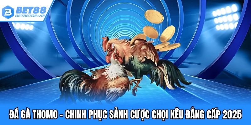 Đá gà thomo