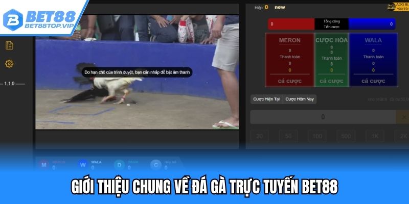 Giới thiệu chung về đá gà trực tuyến BET88