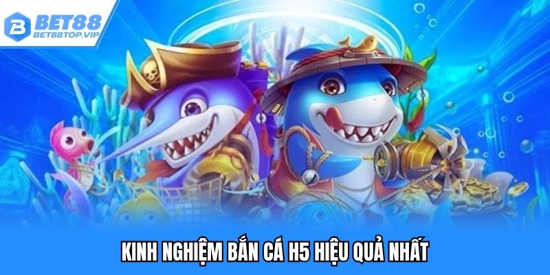 Săn kình ngư trong các màn đại dương tại Bet88