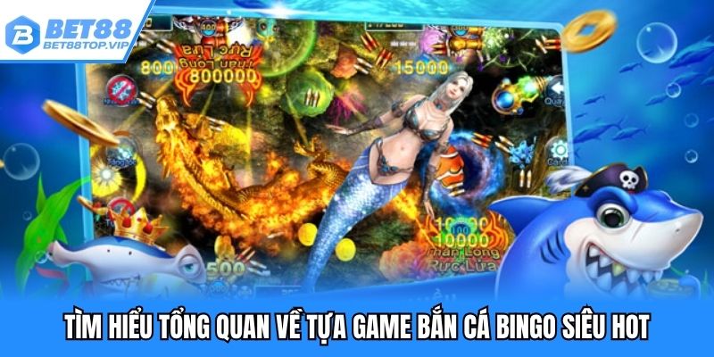 Tìm hiểu tổng quan về tựa game bắn cá Bingo siêu hot