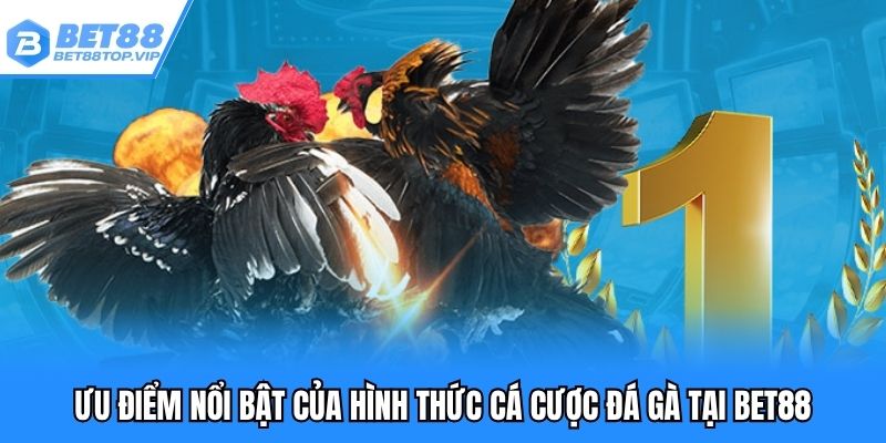 Ưu điểm nổi bật của hình thức cá cược đá gà tại BET88